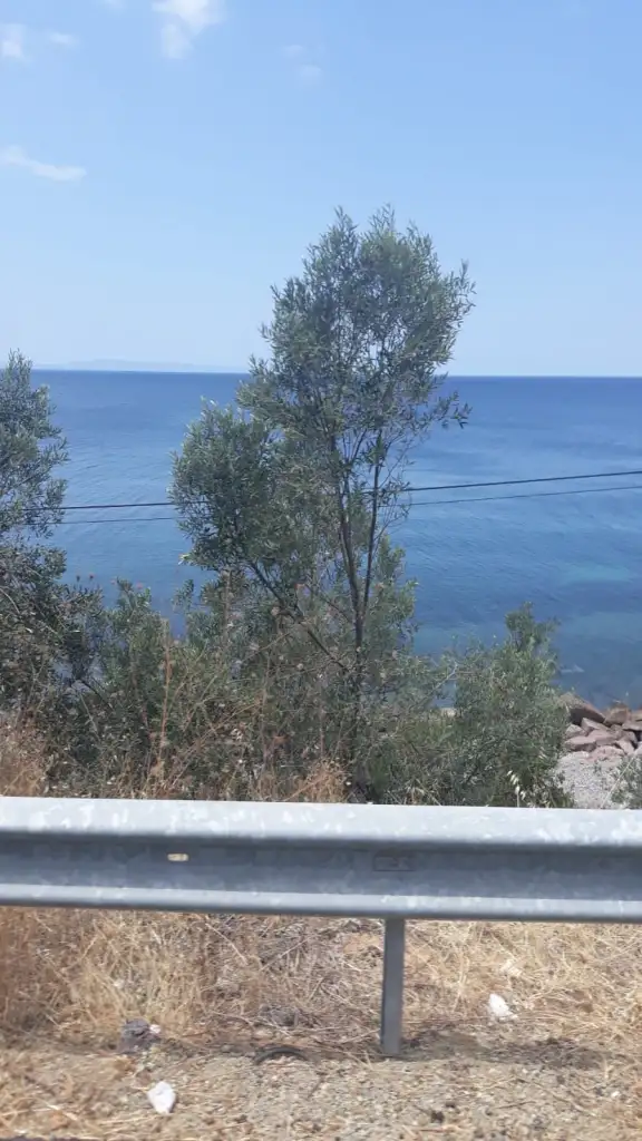 1594353630318.webp