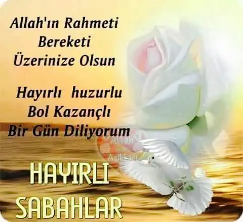 15954a9089a45fd9f9613e50edd98ffd.webp