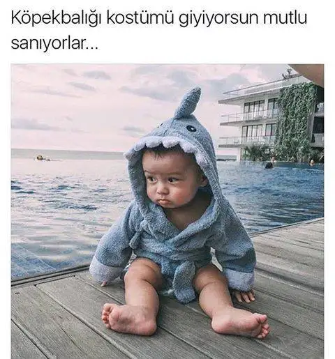 15977813_663052130522056_4286037991816333491_n.webp
