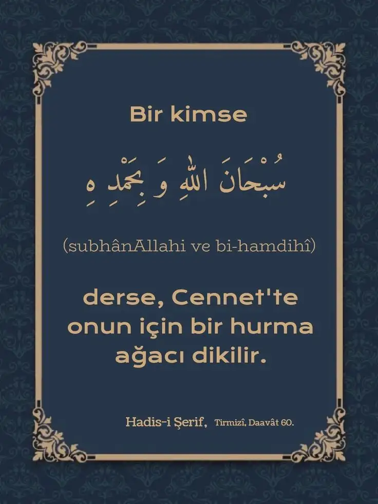 15b9b463cc5bd2944ac375997e023a9d.webp