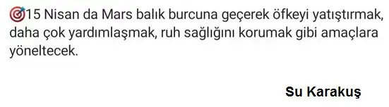 15nis.webp