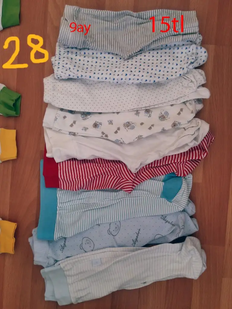 15tl -9 copy.webp