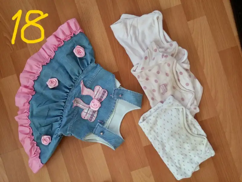 15tl moth body 12.webp