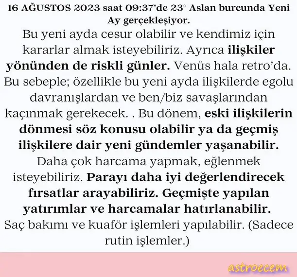 16 agu aslan yeniayı.webp