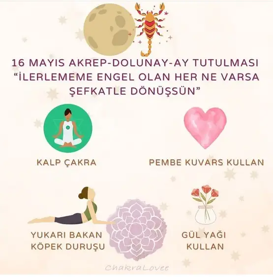 16 may akrep.webp