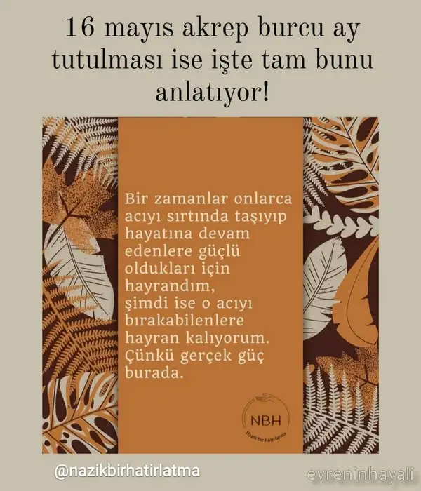 16 may1.webp