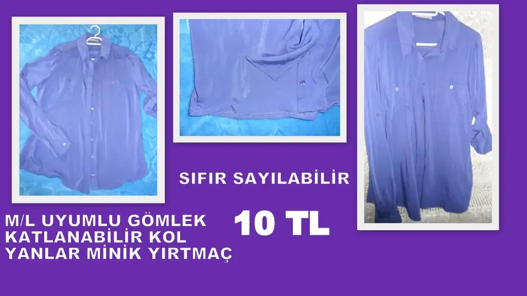 16.webp