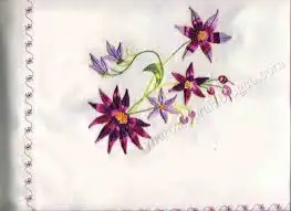 16.webp