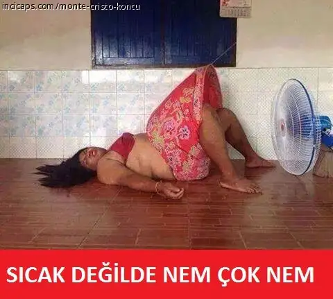 16.webp