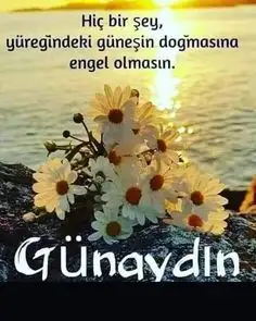 1601710494613.webp
