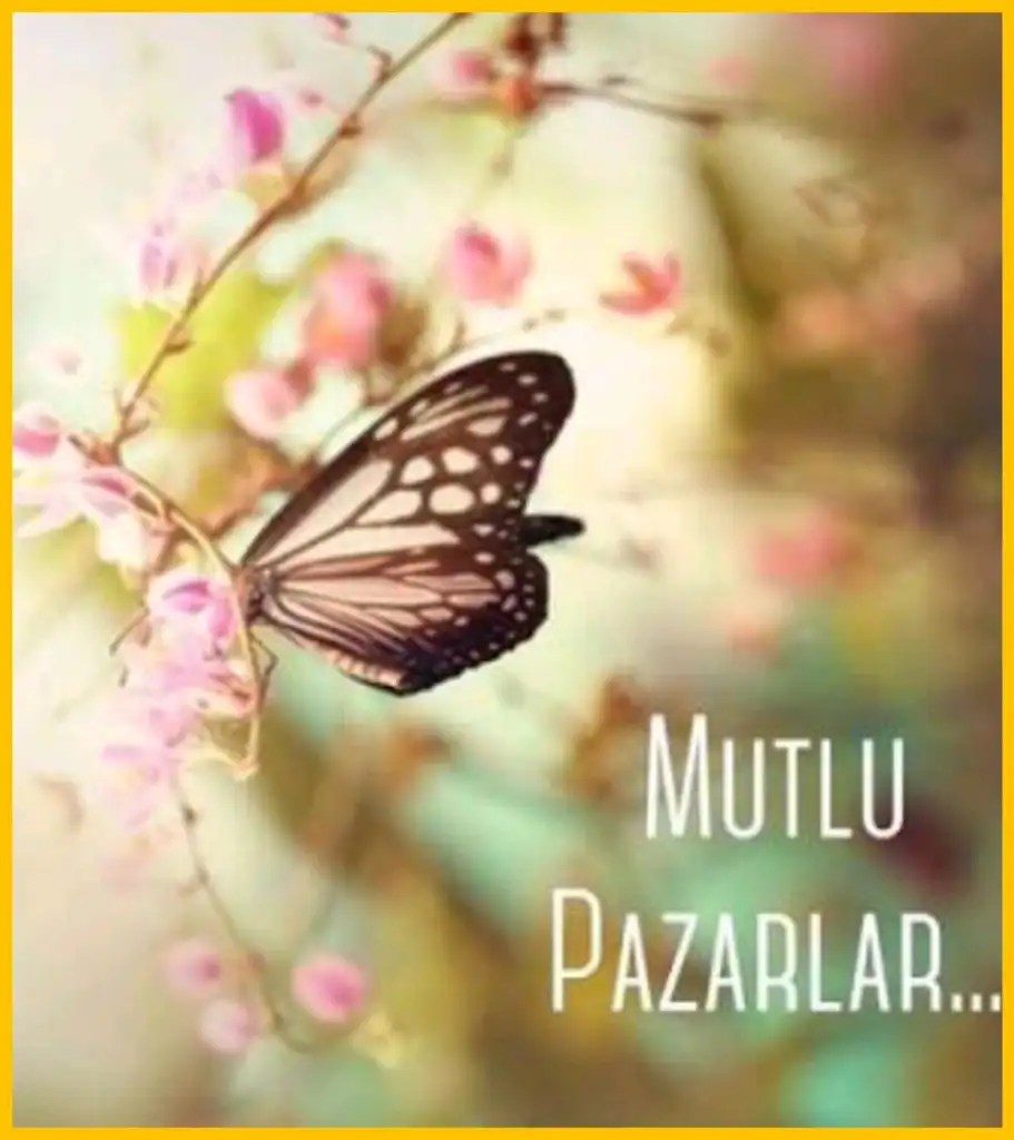 1601797251367.webp