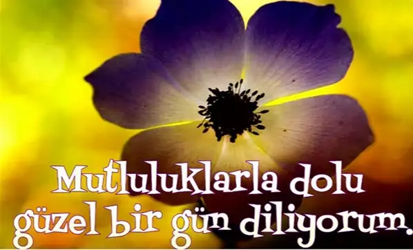 1601885285164.webp
