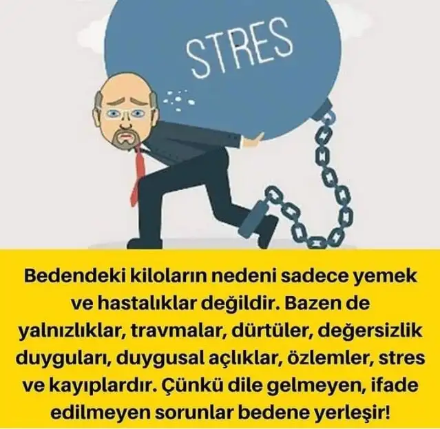 1603536436468.webp