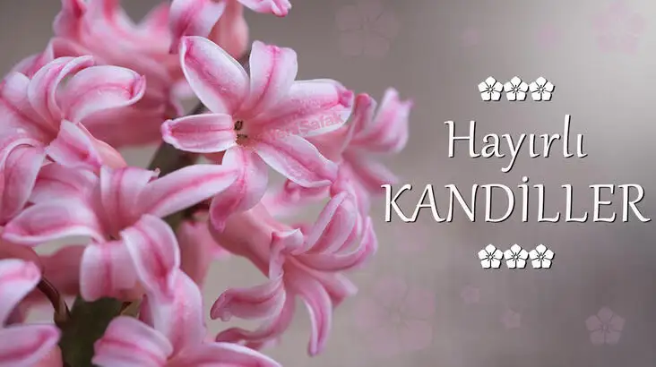 1603873091615.webp