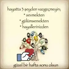 1604142204365.webp