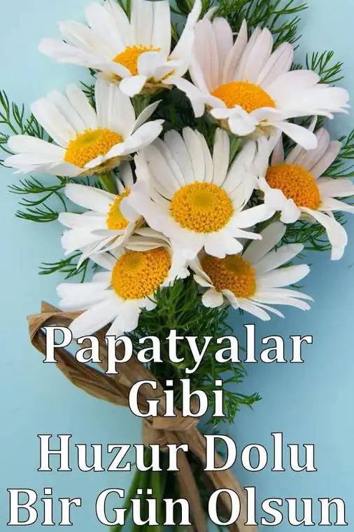 1605004044681.webp