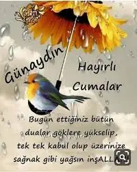 1605258755035.webp