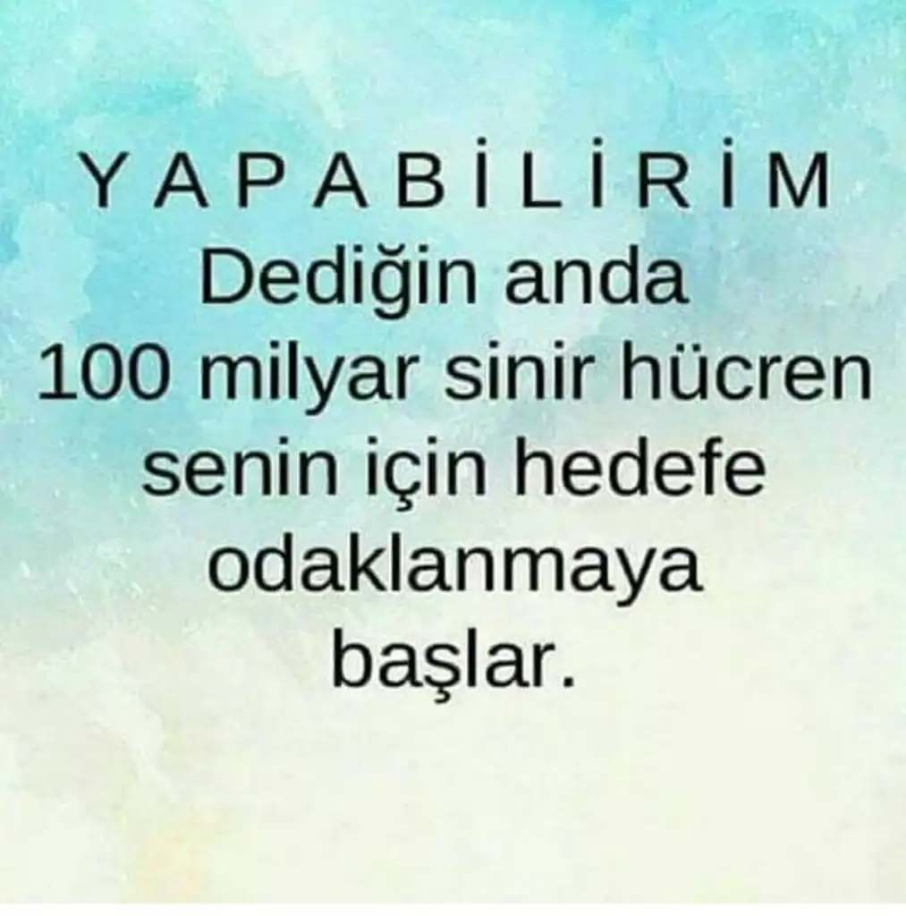 1606298189352.webp