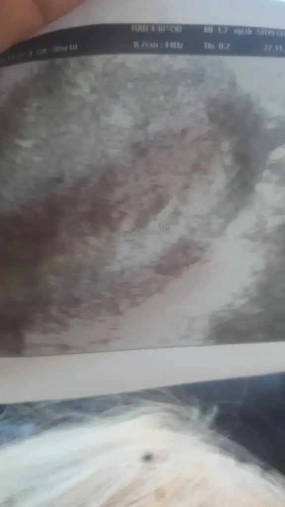 1606463263605553419389.webp