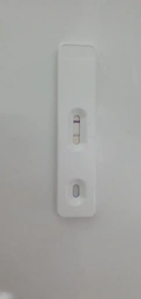 16082405179865754057402720527042.webp