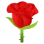 1609184295925.webp