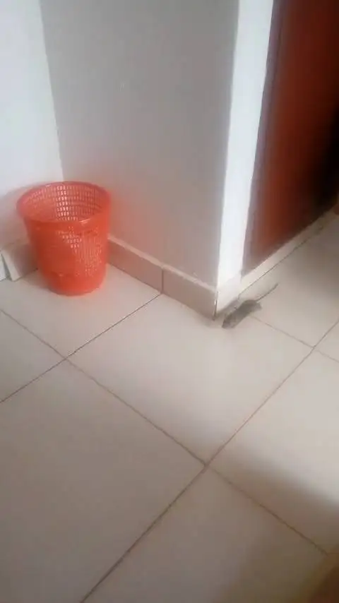 1612880480998.png