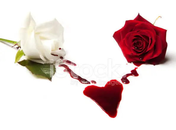 1614464494137.webp