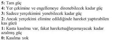 1615494678375.webp