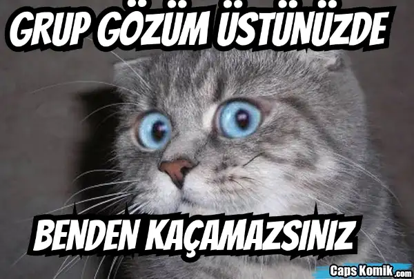 1617371174296.webp