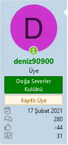 1623106349622.webp