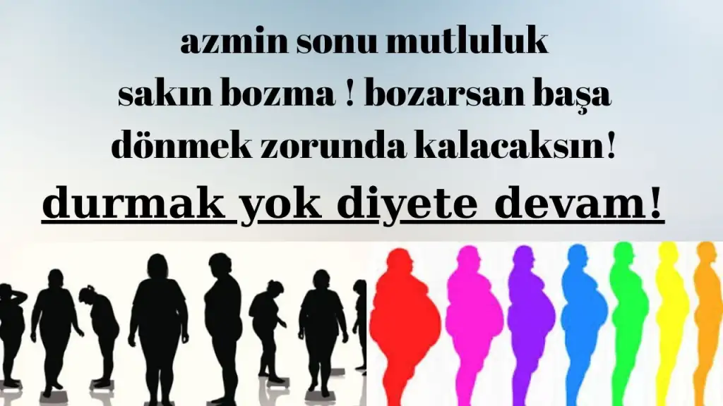 1626519227746.webp