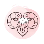 1628499048954.webp