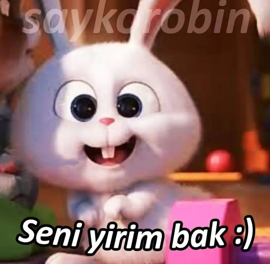 1628677669452.webp
