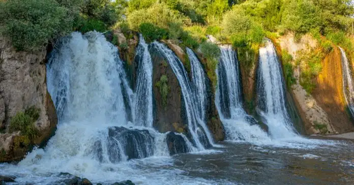 1629697162106.webp