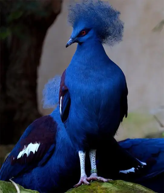 1642155985099.webp