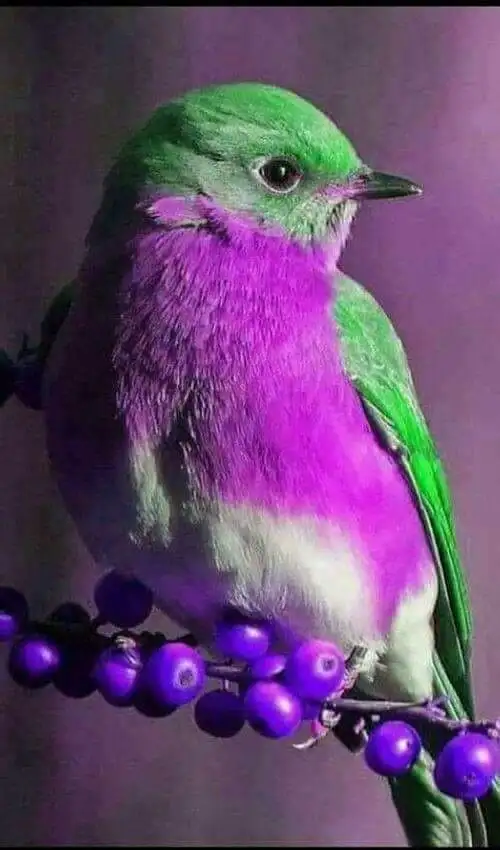 1642156114966.webp