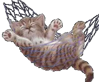 1644436417353.webp