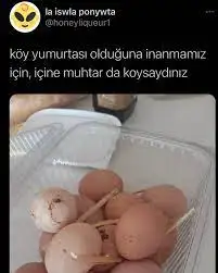 1646515745190.webp
