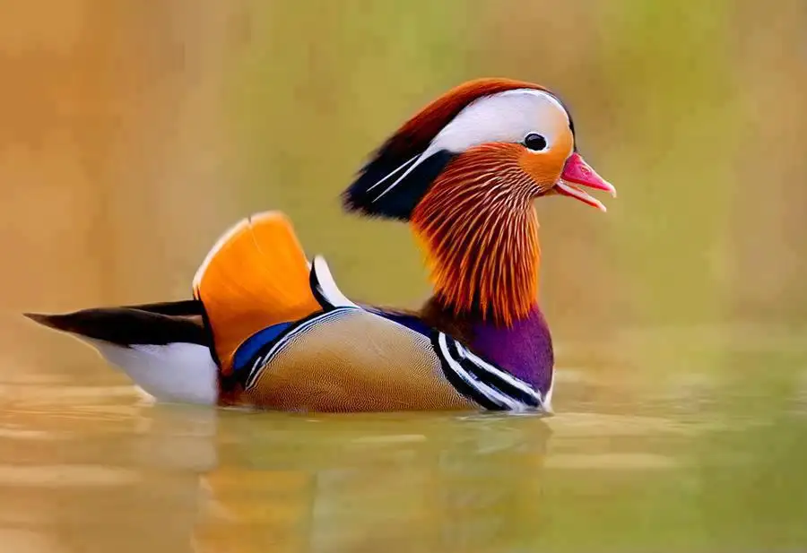 1653994867289.webp