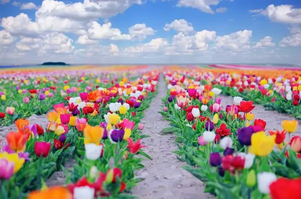 165608012015-600x398.webp
