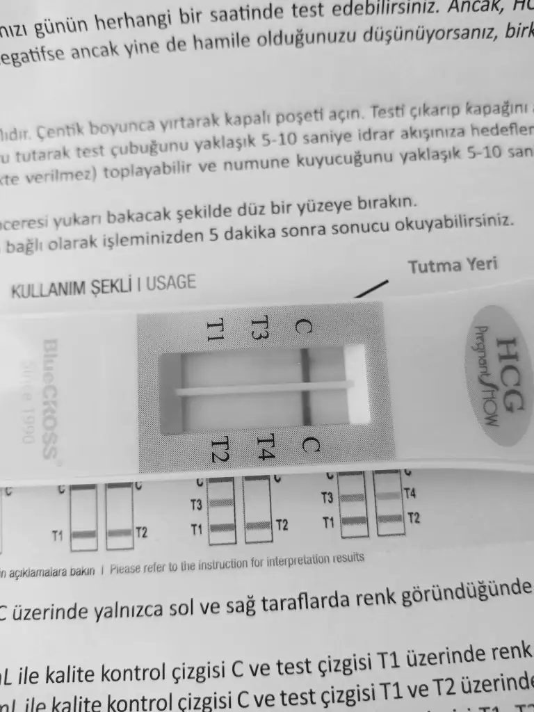 1677067691440.webp