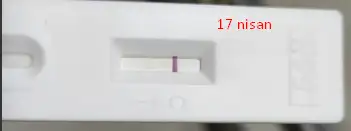 1681805959611.webp