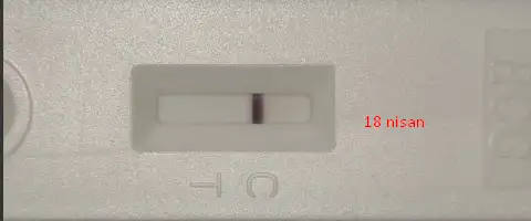 1681805982970.webp