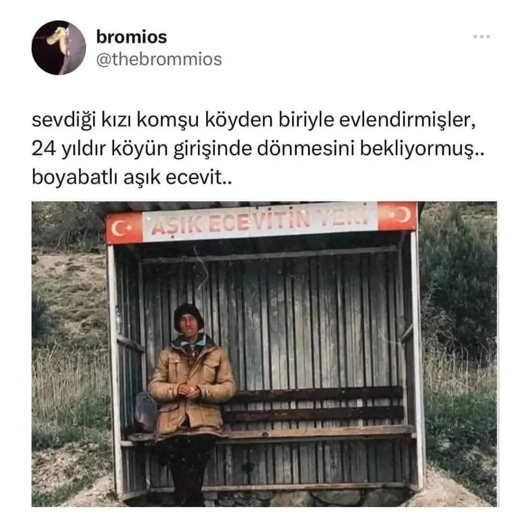 1683292451132.webp