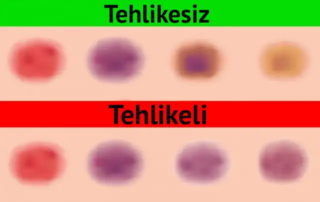 1686428909704.webp