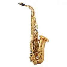 1688537248241.webp