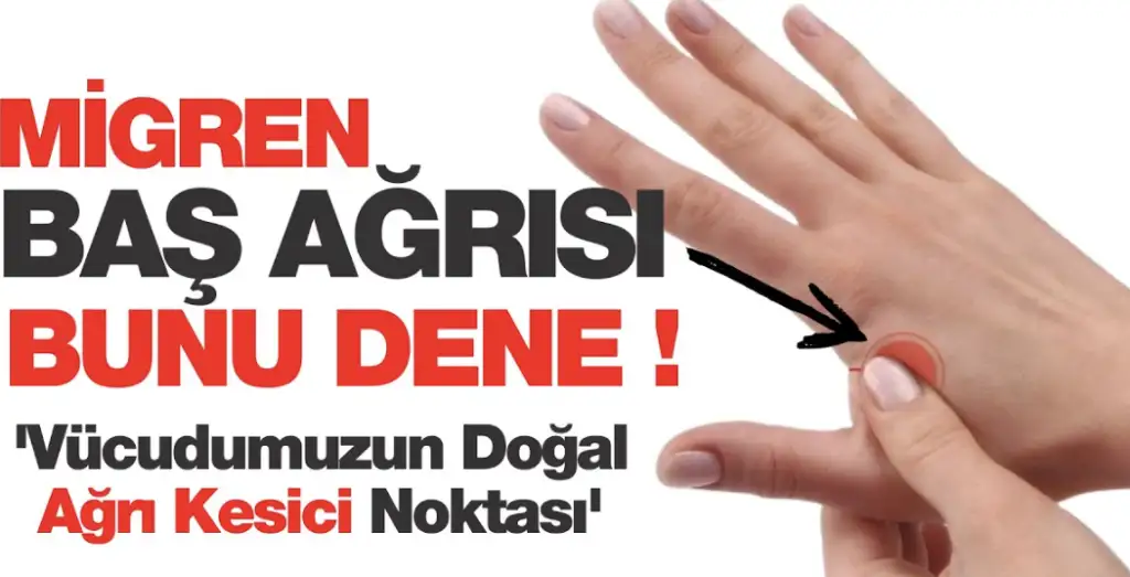 1689448130415.webp