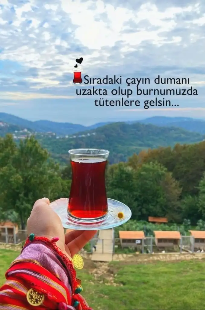 168c77cc96d5ebdb34188f0ca059a1d6.webp