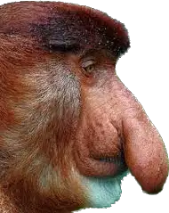 1690285451136.webp