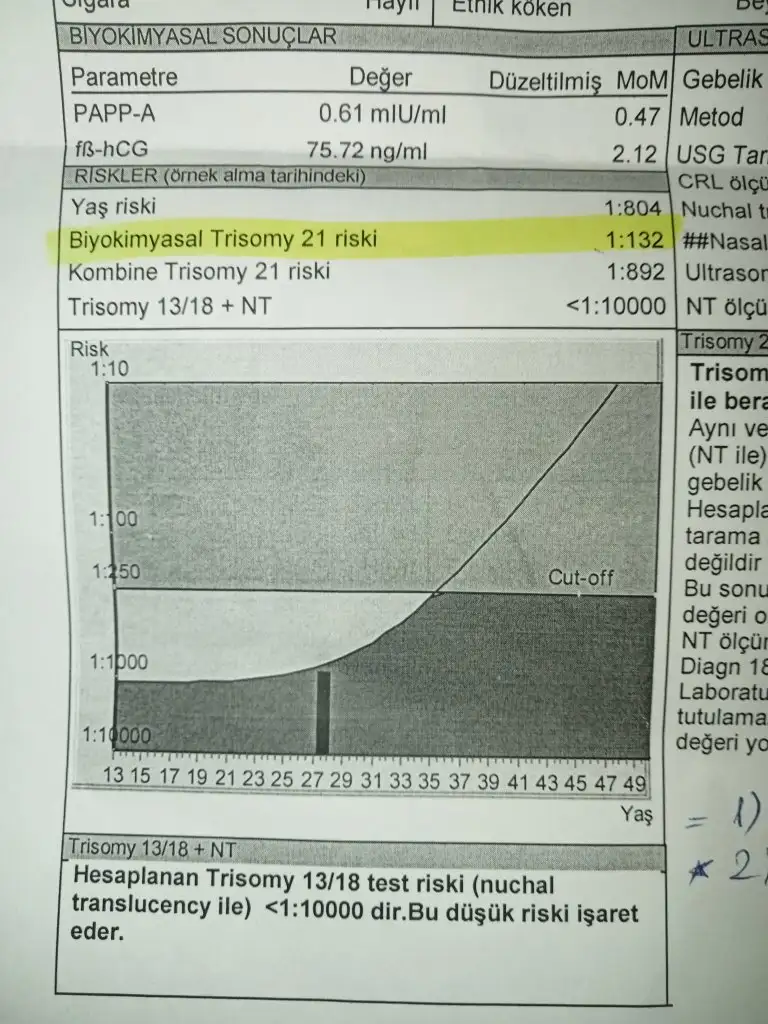 16932166224225511469777849867886.webp